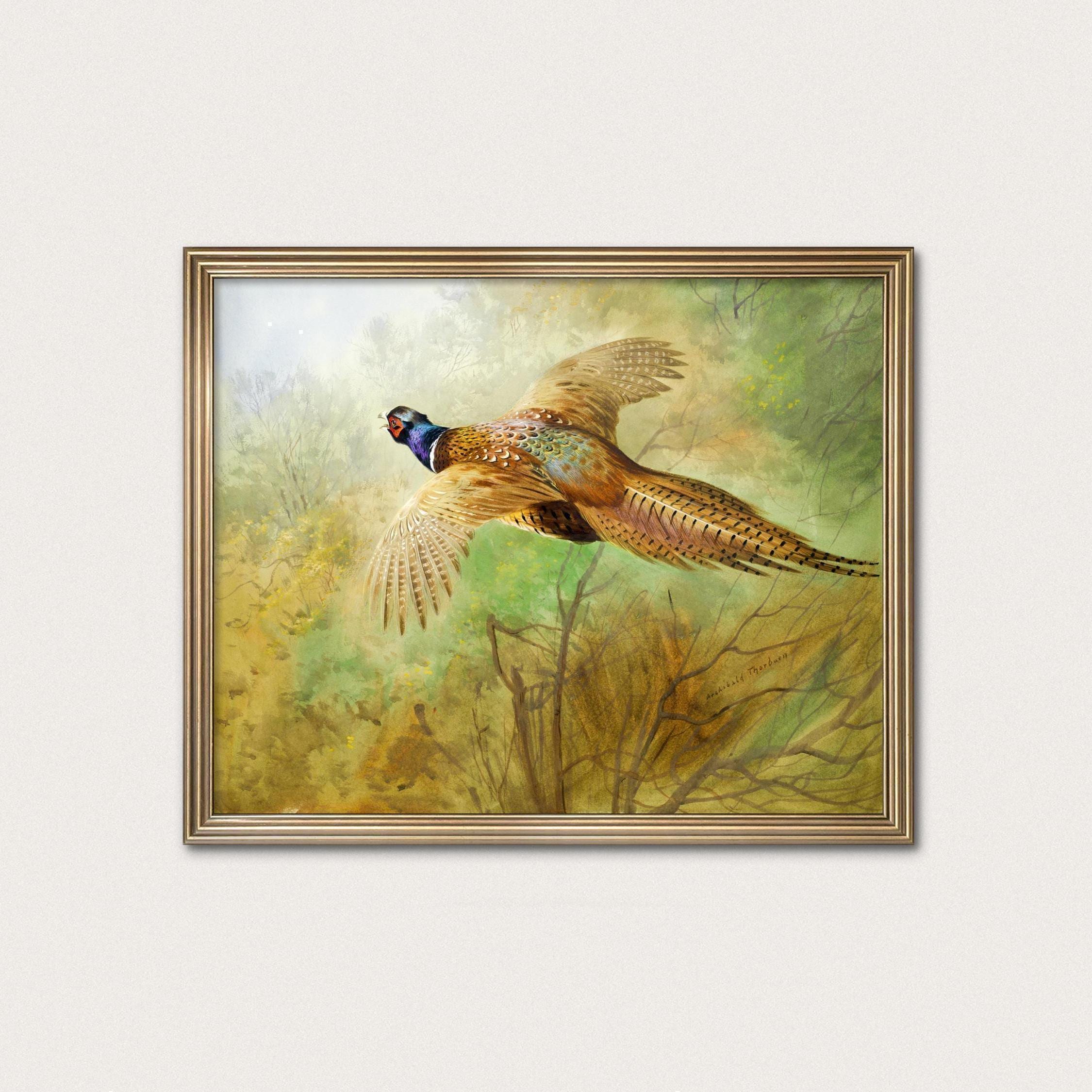 飛翔するキジの狩猟鳥 - 森林風景画、飛翔する鳥のプリント · デジタル
