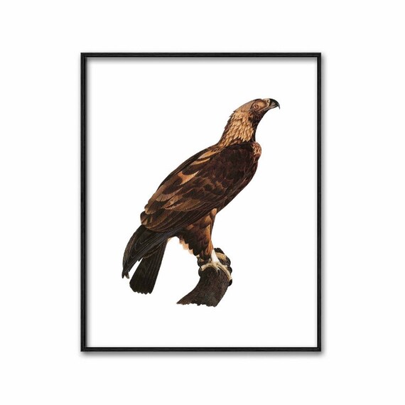 Printable Eagle Print Folk Art Americana Artwork Image 0