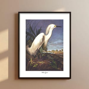 White Egret Art PRINTABLE Audubon Bird Print - chic egret print, egret marsh art