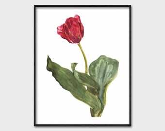 Pink Flower Print, Printable Wall Art (Spring Home Decor, Country Botanical, Instant Download Cottage Office) French Artist "Indus Triumph"