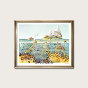 Scientific Ocean Chart Printable - vintage illustration, earth science art · Digital Download