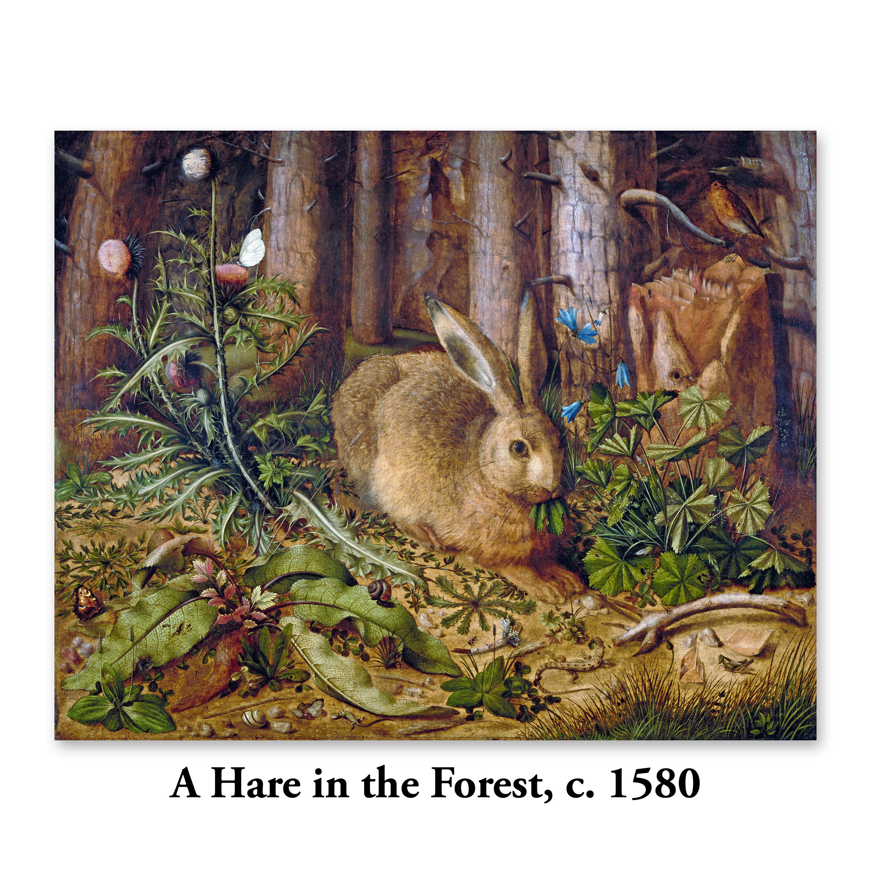 Distracción Anfibio a nombre de Descargar Una liebre en el bosque arte de conejos del siglo - Etsy España Distracción Anfibio a nombre de Descargar Una liebre en el bosque arte de conejos del siglo - Etsy España