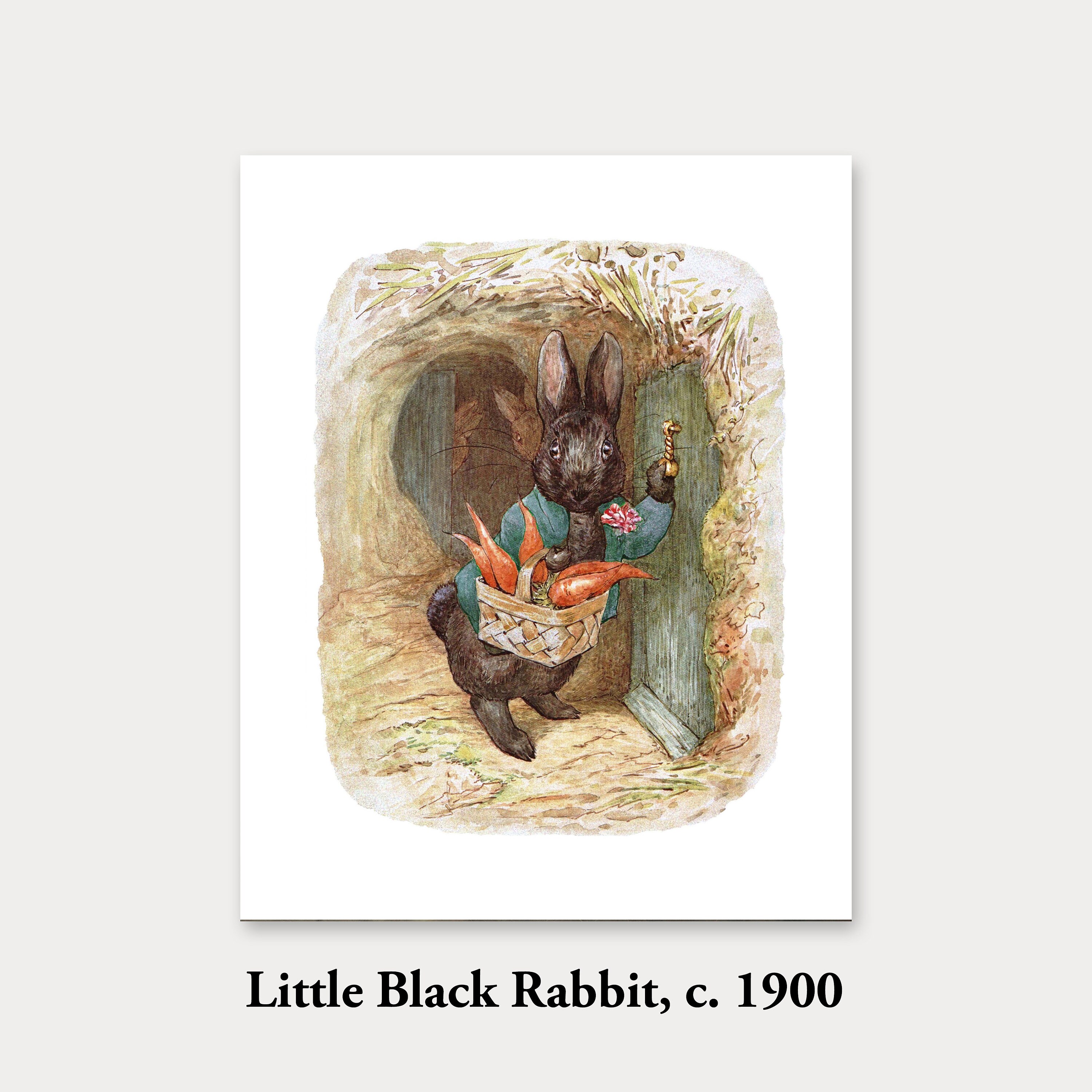 El arte de Beatrix Potter: desde ilustraciones científicas hasta