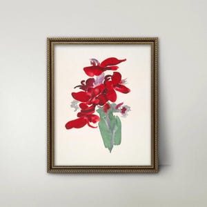 Impresión de Georgia O'Keeffe sobre una flor roja (Acuarela)