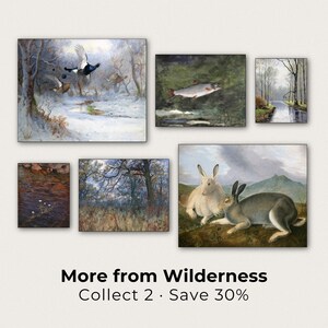 The image is a collage of seven paintings depicting various scenes of nature, including birds, fish, and wildlife in different landscapes.