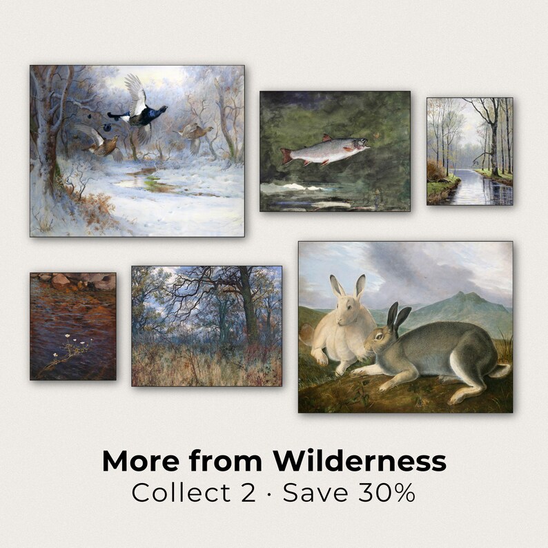 The image is a collage of seven paintings depicting various scenes of nature, including birds, fish, and wildlife in different landscapes.