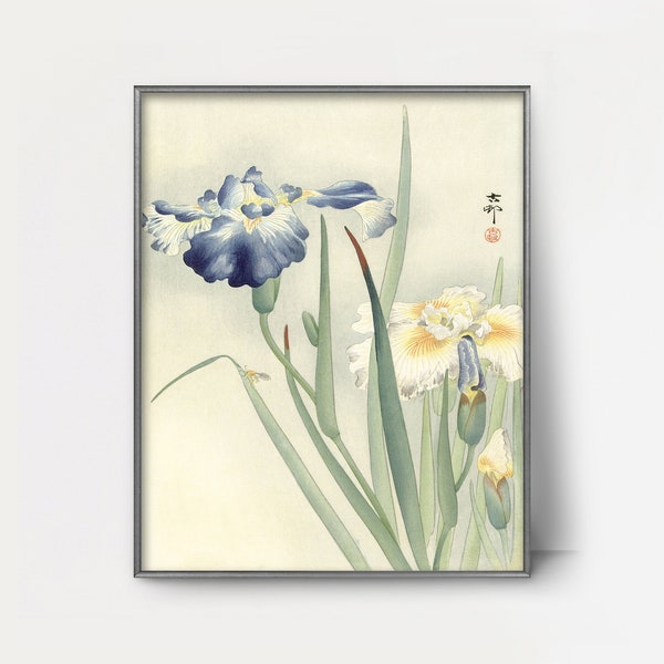 Irises 1920s Japanese art print --- Ohara Koson wood block print, Asian wall art, vintage Japanese nature, blue iris print