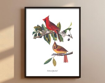 Cardinal Pair Audubon Print - backyard bird printable, cardinal print, bird painting