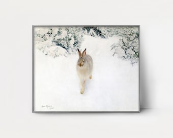 Winter Hare 1900s Rabbit Painting --- animal tracks, winter landscape rabbit art, white snow hare art, antique rabbit wall art