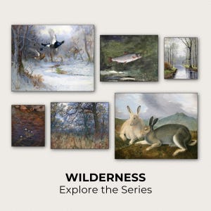 The image is a collage of seven paintings depicting various scenes of nature, including birds, fish, and wildlife in different landscapes.