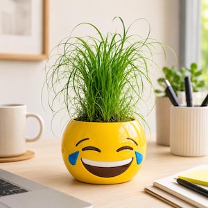 May include: A bright yellow ceramic planter shaped like a laughing emoji with tears of joy, featuring a wide white smile and blue tear-shaped accents. The round container holds a dense cluster of thin, vibrant green grass blades growing upward.