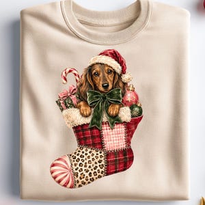 May include: A beige crewneck sweatshirt featuring a graphic of a long-haired dachshund wearing a red Santa hat, peeking out of a patchwork Christmas stocking. The stocking has red plaid, leopard print, and striped patterns with a green bow.