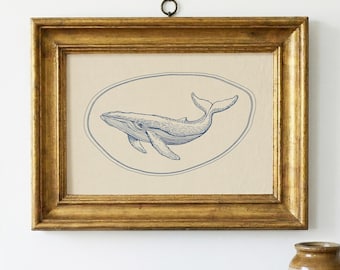 Hand Drawn Blue Whale Print, Vintage Coastal Nursery Art (Framed)