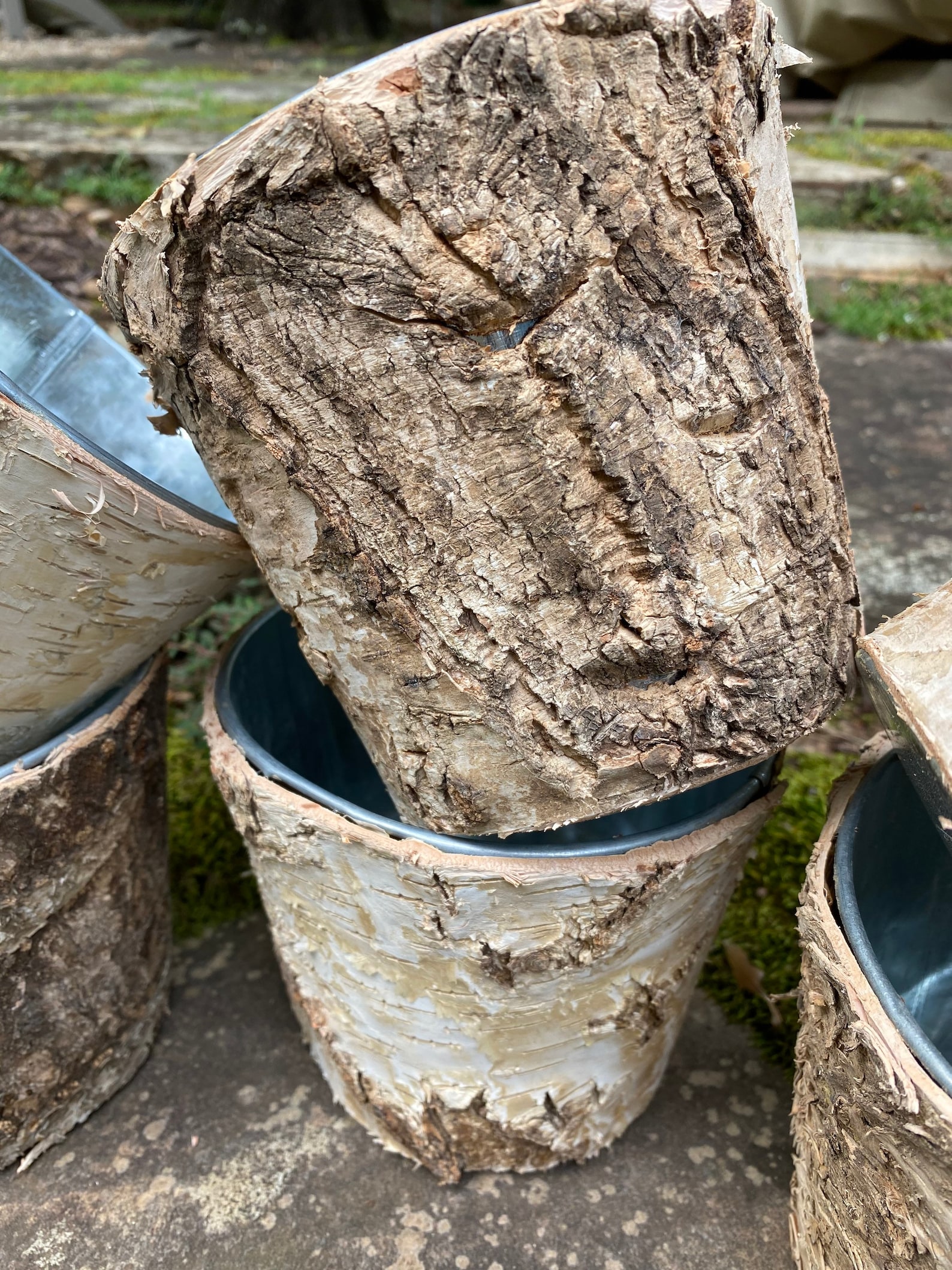 Birch Bark Vase Flower Pot Rustic Weddings READ Description Etsy