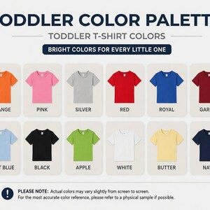 Comfort Colors Mandalorian Grogu T-Shirt, Wherever I Go He Goes Shirt, Baby Yoda Star Wars Tee, Vintage Mandalorian Tee image 16