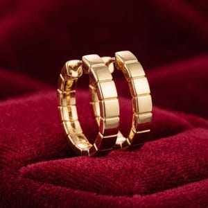Pu&ograve; includere: Un paio di orecchini a cerchio color oro. Ogni orecchino &egrave; costruito da una serie di piccoli blocchi rettangolari, creando un design geometrico strutturato. Gli orecchini sono esposti su una superficie di velluto rosso scuro.