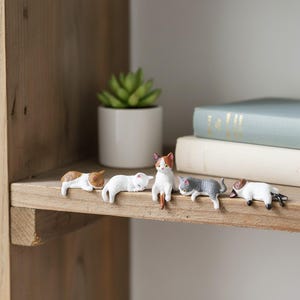 Könnte beinhalten: Auf einem Holzregal sind fünf kleine Katzenfiguren ausgestellt. Die Katzen sind in verschiedenen Posen, mit Farben wie Weiß, Braun und Grau. Ein kleiner Topf mit einer Sukkulente und Bücher befinden sich im Hintergrund.