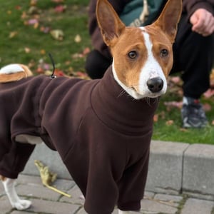 Puede incluir: Un perro Basenji con un mono de forro polar marrón. El perro tiene un pelaje blanco y marrón con orejas erguidas y está de pie sobre una superficie de ladrillo. El perro está mirando a la cámara.
