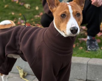 May include: A Basenji dog wearing a brown fleece jumpsuit. The dog has a white and brown coat with upright ears and is standing on a brick surface. The dog is looking at the camera.