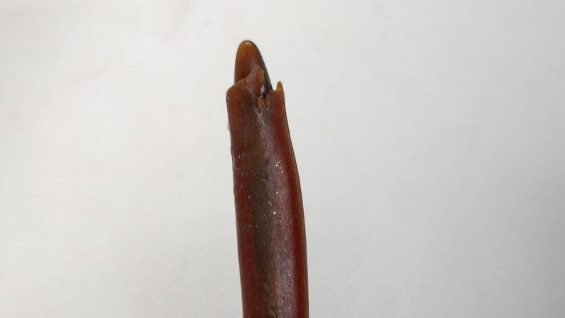 Puede incluir: Primer plano de un objeto marr&oacute;n y alargado con una punta. El objeto tiene una superficie lisa y brillante y parece estar hecho de madera o un material similar. La punta es de un tono marr&oacute;n m&aacute;s claro y tiene una textura ligeramente rugosa.