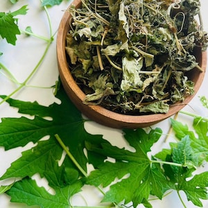 May include: A round wooden bowl filled with dried green bitter melon leaves and stems, surrounded by fresh, vibrant green bitter melon leaves. A small white square logo in the corner displays a green tea cup icon and the text Wild Flavours.