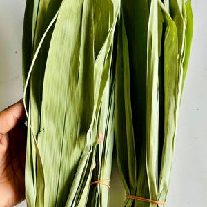 May include: Two bundles of long, slender, light green bamboo leaves tied together with thin brown rubber bands. The leaves are pointed, fibrous, and arranged in a vertical, overlapping cluster, displaying natural textures and shades of green.