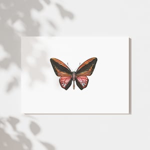 Watercolor Butterfly Print. 5x7 Wall Art. Free Shipping.
