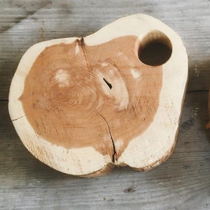 May include: A natural wood coaster with a light brown center and a lighter, cream-colored edge. The coaster has a circular hole and a unique, organic shape, showcasing the wood's grain.