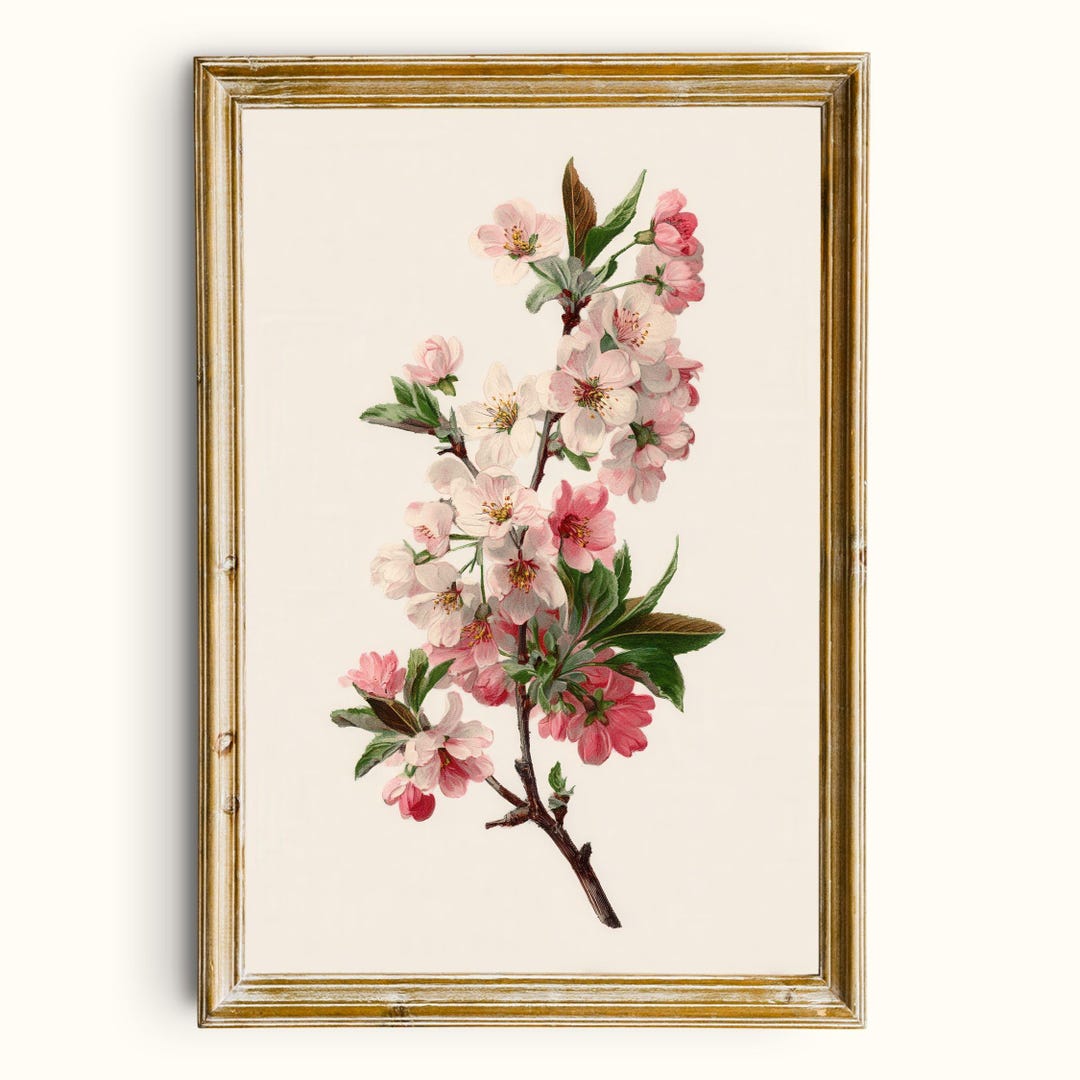 Vintage Cherry Blossom Botanical Print | Spring Floral Wall Art ...