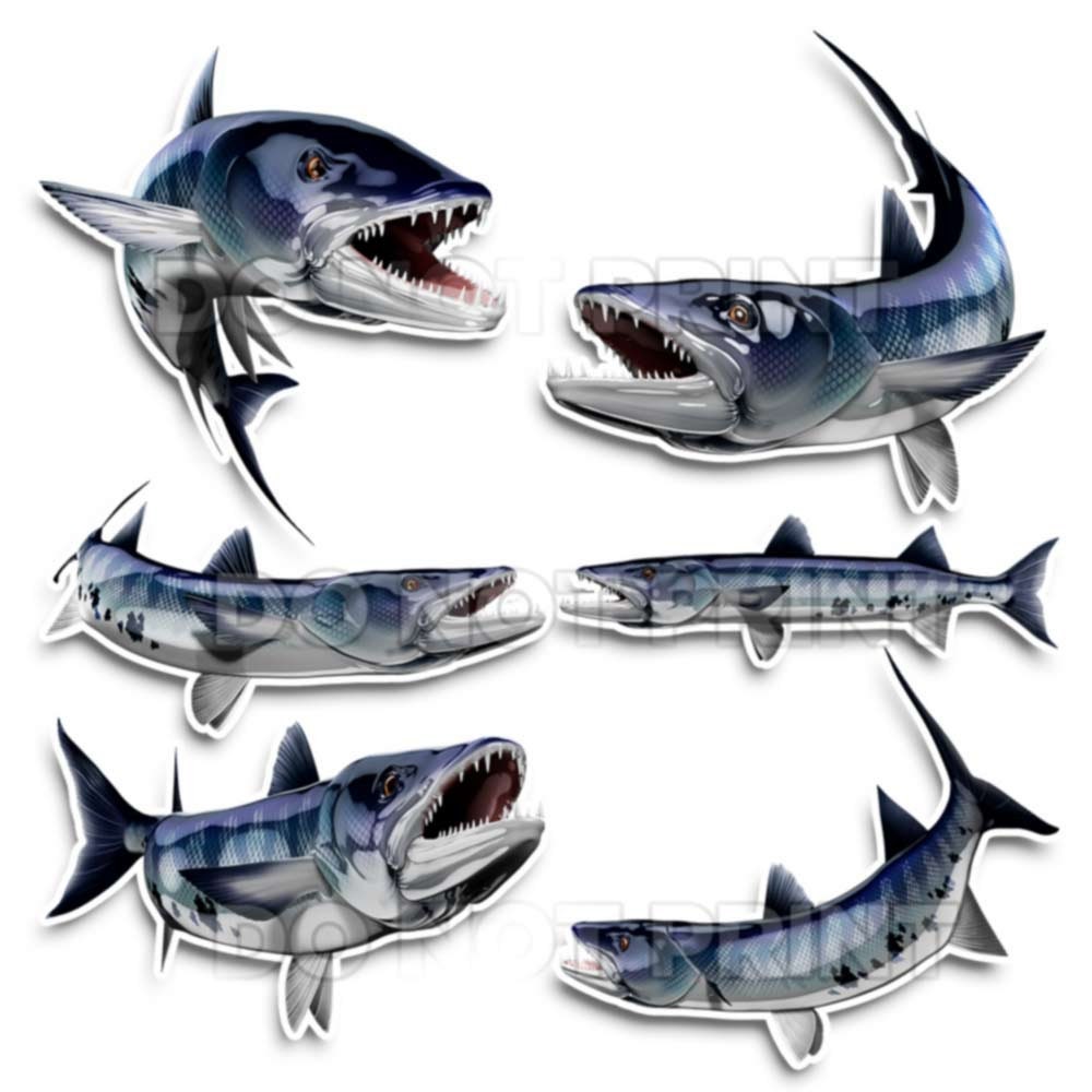 Decalcomanie di luccio pesca adesivi Tackle Box per camper e Camion Camper Trailer AFP-0049 - Italia