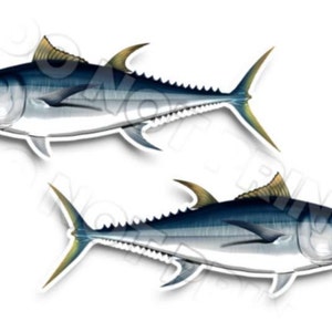 24" Albacore Tuna Fishing RV Decals - Boot Graphics - Set van 2 gespiegelde Vinyl Graphics - Boot RV - Kies gelamineerd of ongelamineerd 0119
