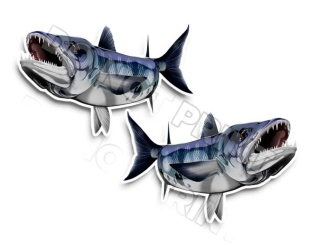 Barracuda Decals Fishing Stickers Tackle Box RV Truck Camper Trailer ...