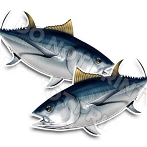 24" Albacore Tuna Fishing RV Decals - Boot Graphics - Set van 2 gespiegelde Vinyl Graphics - Boot RV - Kies gelamineerd of ongelamineerd 0121