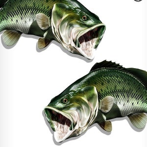 以下が含まれることがあります： 白い背景に、口を開けて前を向いている大型バスの魚が2匹。