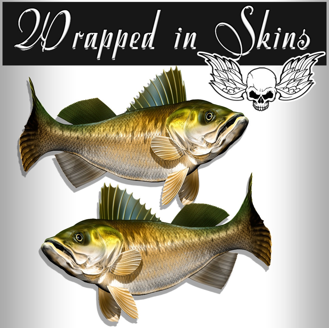 24 Walleye Fish RV Decals Boat Graphics Set of 2 Etsy