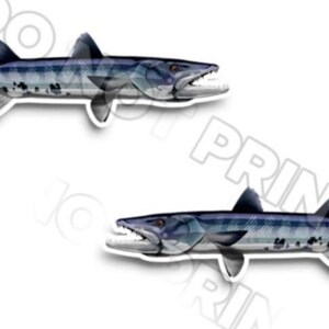 24" Barracuda Fishing RV Decals - Boot Graphics - Set van 2 gespiegelde Vinyl Graphics - Boot RV - Kies gelamineerd of ongelamineerd 0125
