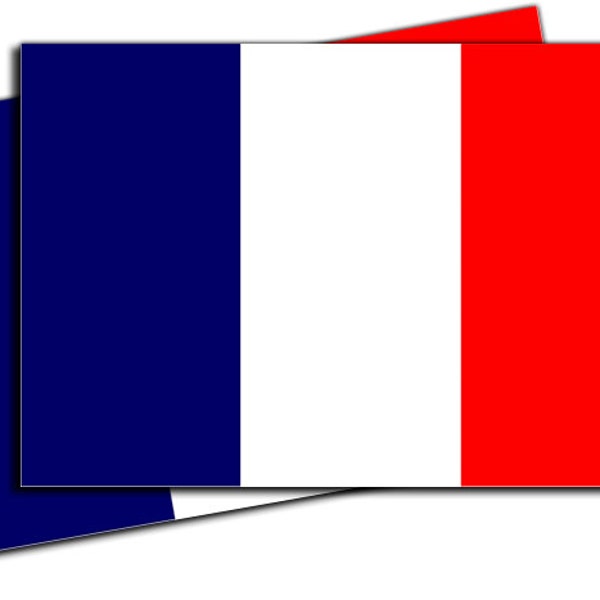 France Flag Decal French Flag Sticker - Adhesive Vinyl  - 2 Pack