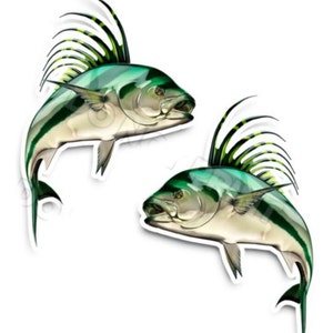 15&quot; Roosterfish RV Decals - Boat Graphics - Set of 2 mirrored Vinyl Graphics - Boat RV - Choose laminated or unlaminated RV #208