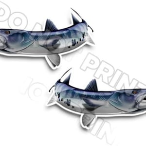 24" Barracuda Fishing RV Decals - Boot Graphics - Set van 2 gespiegelde Vinyl Graphics - Boot RV - Kies gelamineerd of ongelamineerd 0129