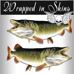 Può includere: Due illustrazioni dettagliate di un luccio verde e marrone con pinne arancioni. I pesci sono rivolti a destra e hanno la bocca aperta. I pesci sono su uno sfondo bianco.