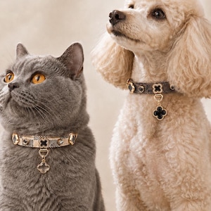 以下が含まれることがあります： グレーの猫とクリーム色のプードルが、お揃いの首輪を着用しています。猫はゴールドの金具とクローバー型のチャームが付いたベージュのチェック柄の首輪を、プードルはゴールドの金具と黒いクローバーのチャームが付いたダークブラウンのチェック柄の首輪をそれぞれ身に着けています。