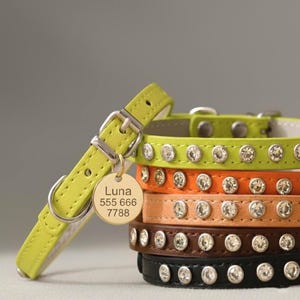 Può includere: Una pila di cinque collari per animali in verde lime, arancione, pesca, marrone e nero, ciascuno con una fila di strass trasparenti e una fibbia argentata. Una targhetta rotonda in metallo dorato pende dal collare verde lime con il testo Luna 555 666 7788.