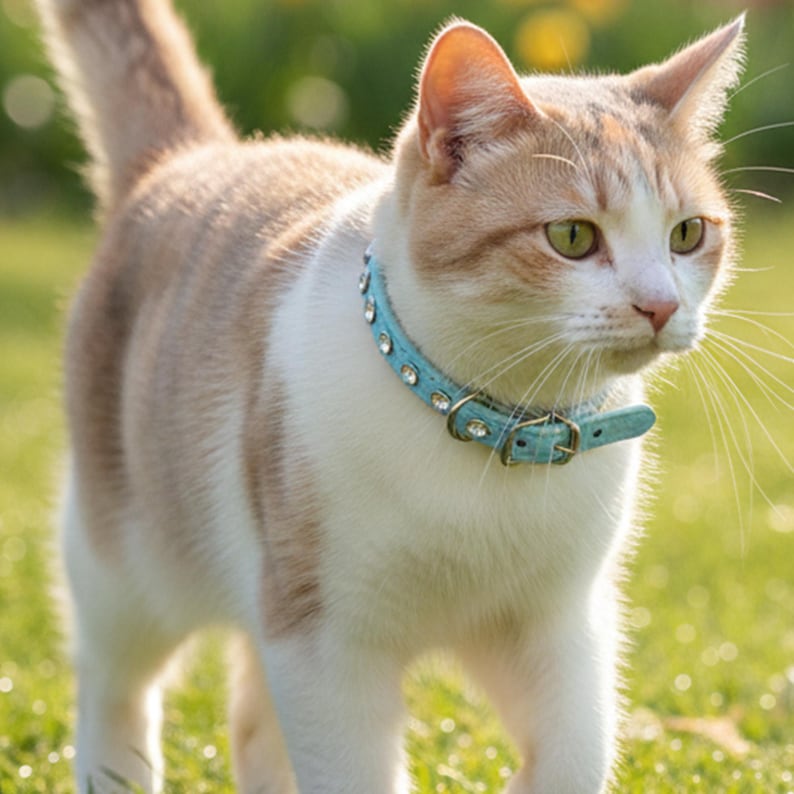 May include: A light blue cat collar featuring a textured surface and a series of embedded clear rhinestones. The collar includes a metal buckle and a D-ring for attachment, worn around the neck of a white and orange tabby cat standing outdoors.