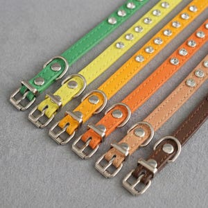 May include: A set of six thin leather collars arranged diagonally, featuring colors ranging from green to yellow, orange, and brown. Each collar is adorned with a single row of embedded silver-toned circular studs and includes a silver-toned metal buckle.