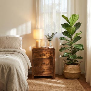 May include: A bedroom scene featuring a wooden nightstand with three drawers, a lamp with a beige shade, and a large potted plant. The bed has a beige comforter and pillow. A woven basket holds the plant. The room has a neutral color palette.