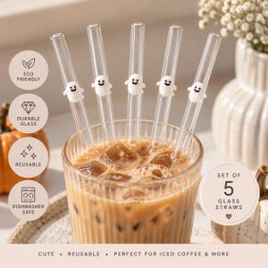 May include: A set of five clear glass straws, each featuring a small white ghost figure with a smiling face. The straws are placed inside a glass filled with iced coffee. Text on the image includes ECO FRIENDLY, DURABLE GLASS, REUSABLE, DISHWASHER SAFE, SET OF 5 GLASS STRAWS, CUTE, REUSABLE, and PERFECT FOR ICED COFFEE & MORE.