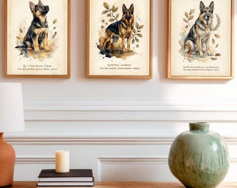 German Shepherd Art Print Set | Vintage Watercolor Poster | Digital Download