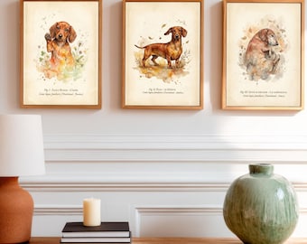 Dachshund Print Watercolor Wall Art, Wiener Dog Lover Gift, 3 Sizes Included