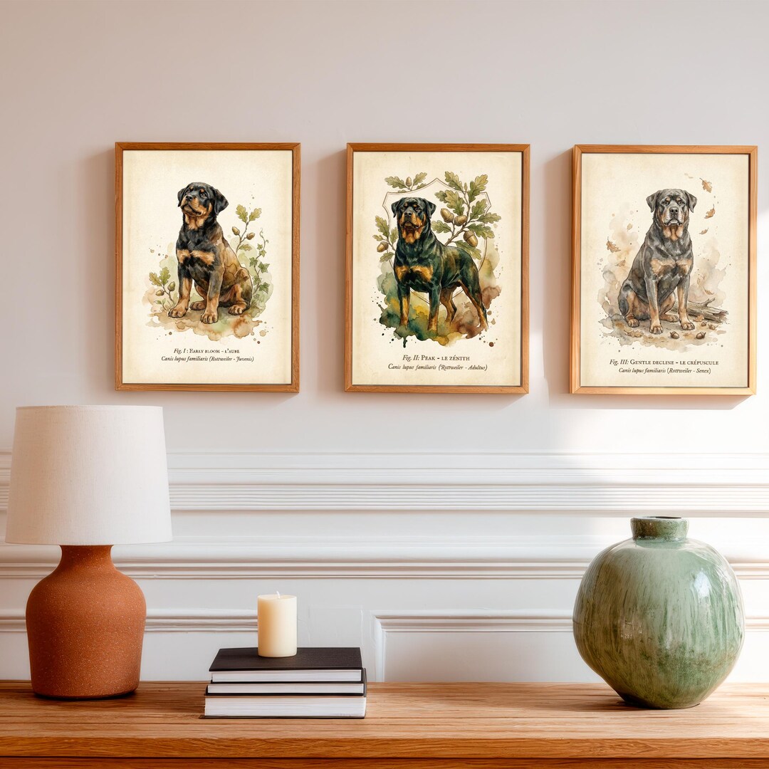 Vintage Rottweiler Vintage Rottweiler Print, Antique Dog Oil Painting, Rottweiler Gift, 3 ...