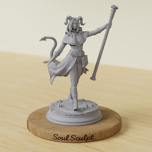 May include: A gray figurine of a female character with horns, a tail, and a staff. The figure is standing on a circular base, which is mounted on a wooden stand. The text "Soul Sculpt" is printed on the wooden base.